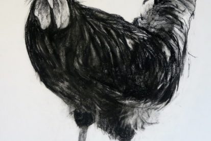 Rooster: Where's the Model? 95cm x 75cm (including frame) charcoal and conte